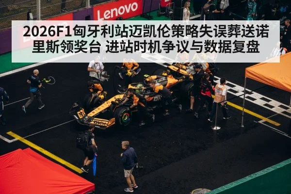 formula 1 pit stop strategy